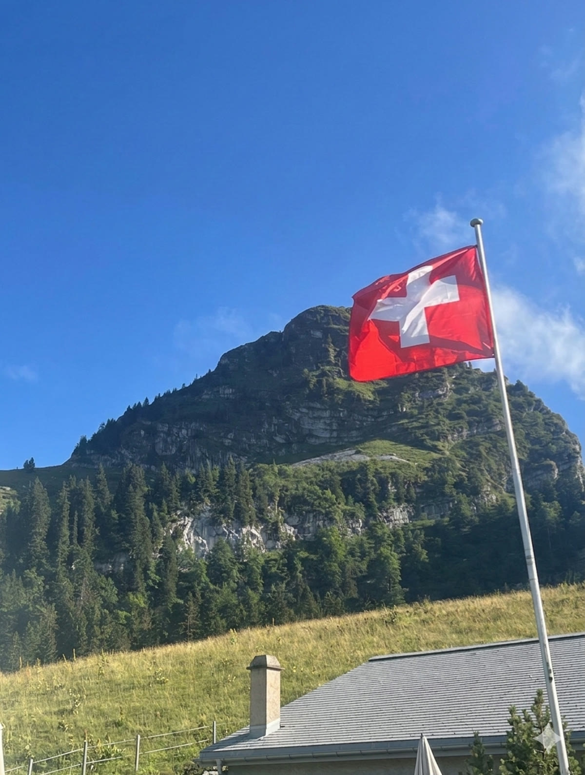 La Dent de Jaman et son drapeau suisse, vue depuis le Col de Jaman